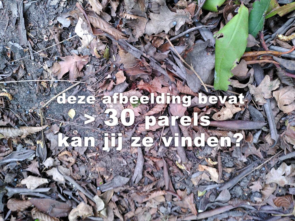 Verspreide EPS parels die moeilijk op te ruimen zijn